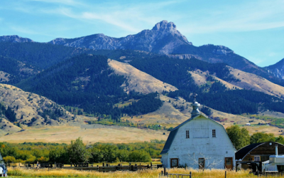 Montana Pre-Engineered Steel Buildings: Sturdy Structures for Expansive Spaces